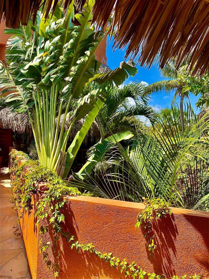 Hotel Casa Mixteca Zipolite Exteriér fotografie