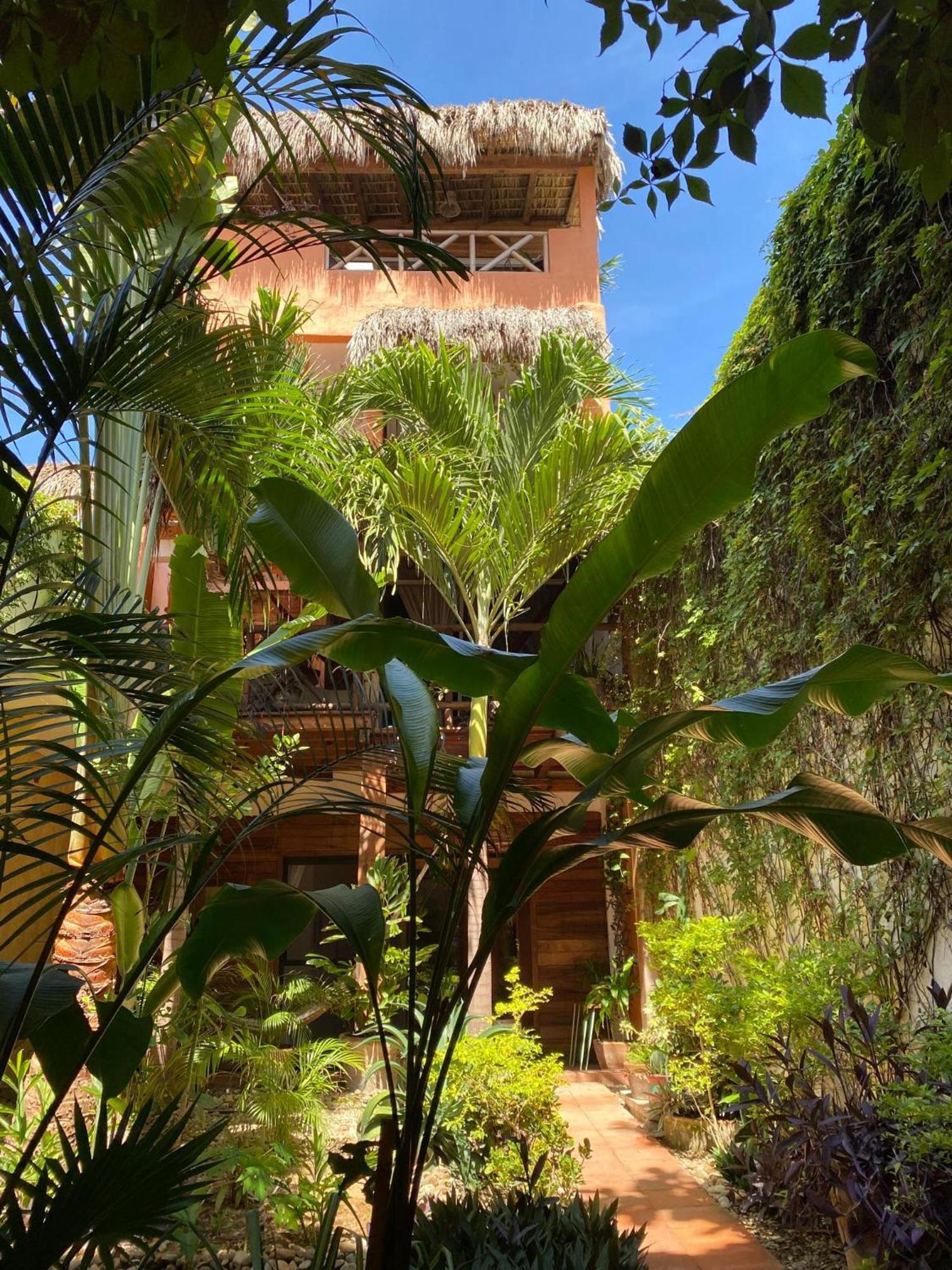 Hotel Casa Mixteca Zipolite Exteriér fotografie